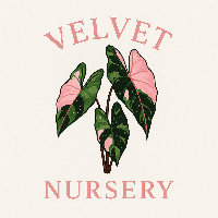 Velvet Nursery